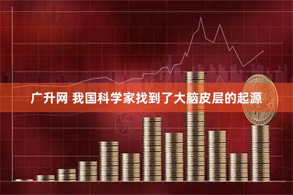 广升网 我国科学家找到了大脑皮层的起源