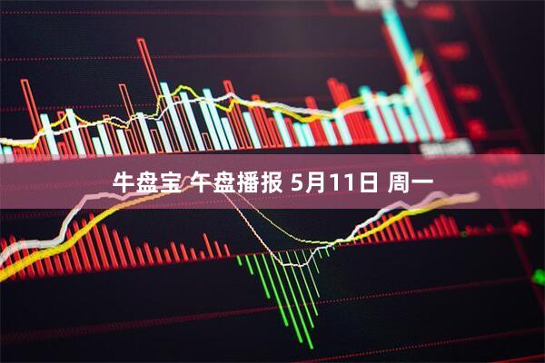 牛盘宝 午盘播报 5月11日 周一