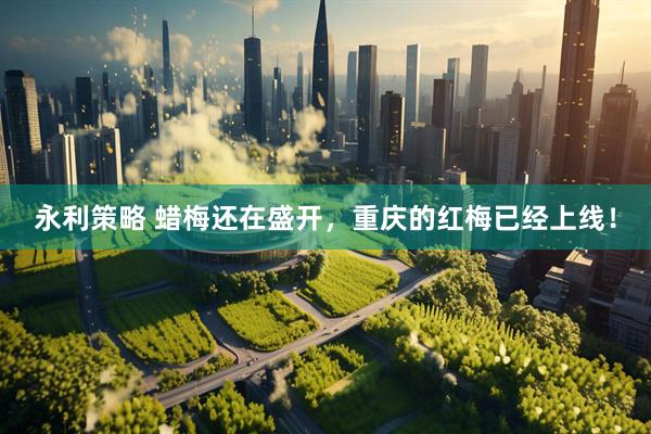 永利策略 蜡梅还在盛开，重庆的红梅已经上线！